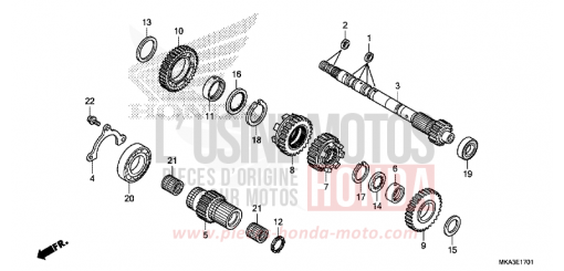 BOITE DE VITESSES (ARBRE SECONDAIRE) (NC750XD) NC750XDH de 2017